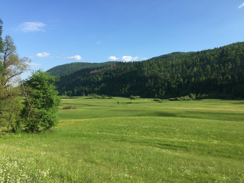 Zigon Bed & Breakfast Logatec Buitenkant foto