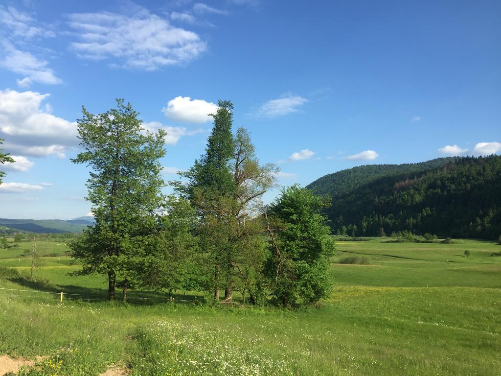 Zigon Bed & Breakfast Logatec Buitenkant foto